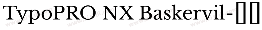 TypoPRO NX Baskervil字体转换
